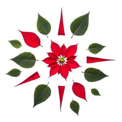 Imagen PNG para descargar